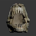 Detailed View Of Dinosaur Skull With Organ Structures And Hair Remnants