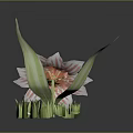 Pink and White Striped Flower Plant with Green Leaves and Stem on Dark Background