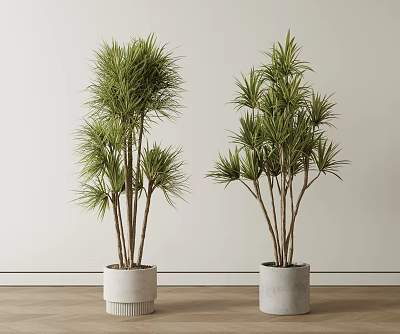 Two Green Leafy Potted Plants In White Ceramic Pots For Indoor Home Decor 3d model