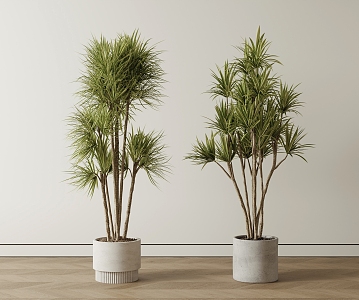 Modern Potted Plant 3d model