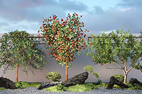 Landscape tree orange tree apple tree pomegranate tree stone terrain courtyard sketch 3d model