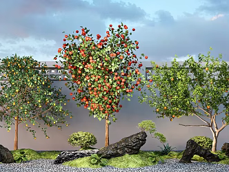 Landscape tree orange tree apple tree pomegranate tree stone terrain courtyard sketch 3d model