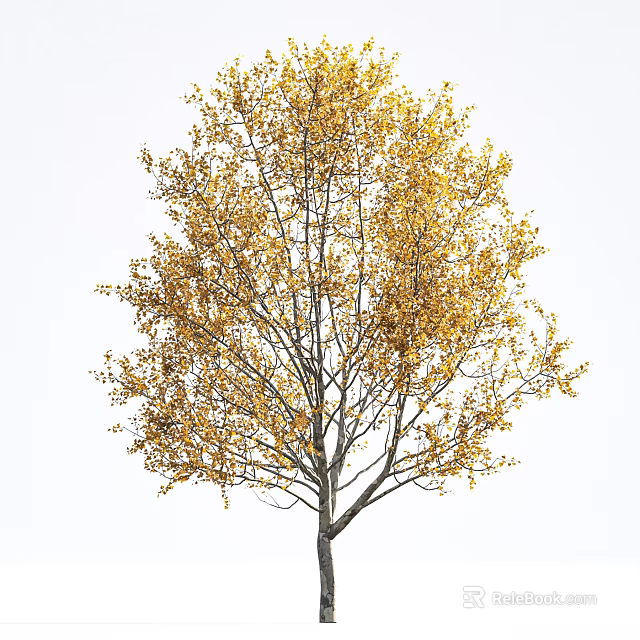 Stunning Tall Arbor With Vibrant Yellow Autumn Leaves And Thick Branches 3d model 