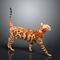 Leopard Cat With Spotted Fur Long Tail And Alert Posture Walking On Gray Background