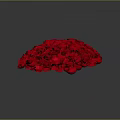 Red Roses Formed Into Heart Shaped Floral Arrangement For Decor