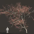 Curved Tree With Red Leaves And White Human Figure In Natural Scene