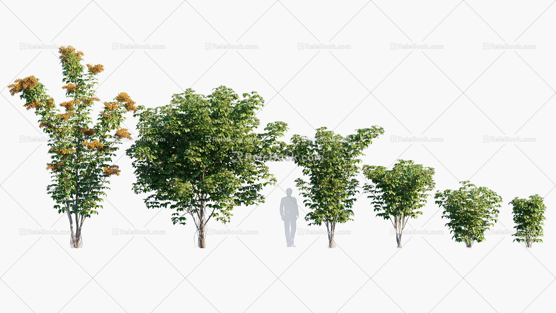 Plant Trees Landscape Trees Arbor 3d model