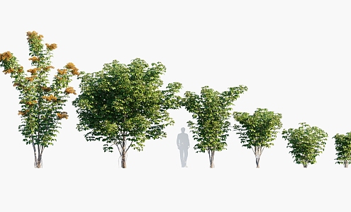 Plant Trees Landscape Trees Arbor 3d model