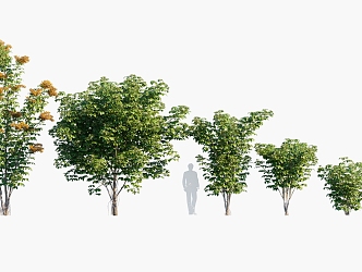 Plant Trees Landscape Trees Arbor 3d model