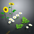 Vibrant Floral Arrangement With Yellow Sunflowers White Flowers And Green Leaves
