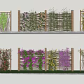 Colorful Flowering Vines Growing On Wooden Trellis In Garden With Green Grass