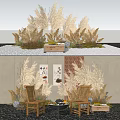 Pampas Grass and Dried Plants with Wooden Box Pebbles Wooden Chairs and Wall Shelves
