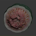 Fresh Cut Guava with Green Skin Pink Flesh and Yellow Seeds