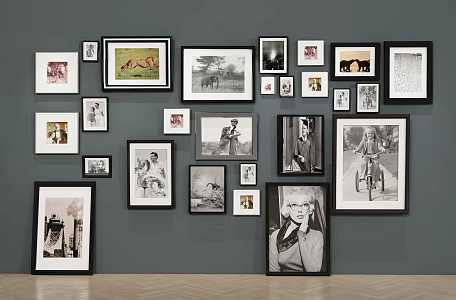 Hanging Picture Frame Picture Frame Photo Wall Decorative Painting Photo Landscape Square Figure Animal 3d model