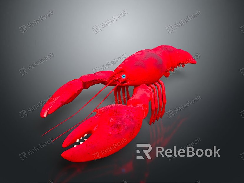 lobster big lobster crystal lobster cartoon lobster marine animal fish freshwater fish marine fish animal model