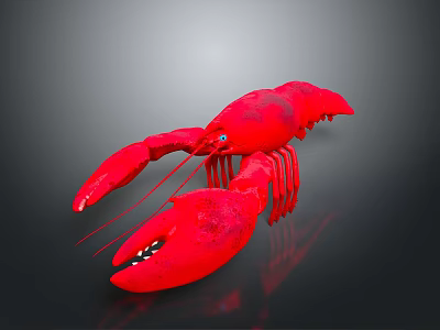 Red Lobster With Large Claws Shiny Shell On Reflective Surface Under Gradient Background 3d model
