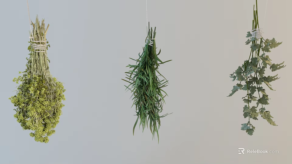 Dried Herbs Bundle Hanging On White Wall For Kitchen Decor 3d model