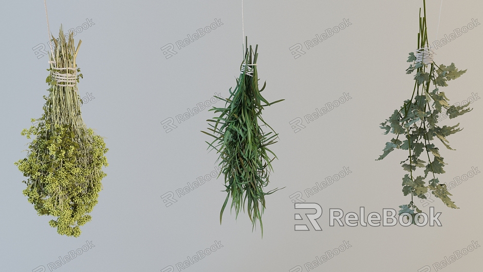 Modern Herbs model