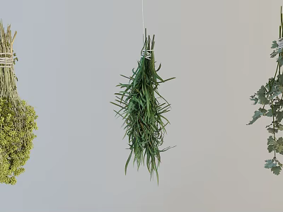 Dried Herbs Bundle Hanging On White Wall For Kitchen Decor 3d model