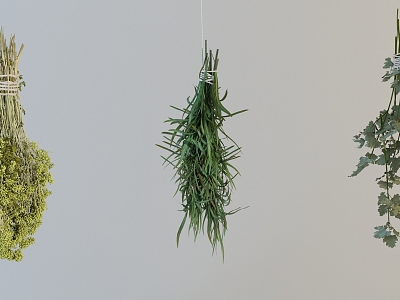 Modern Herbs model