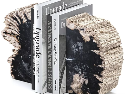 Natural Wood Texture Decorative Bookend With Design Architecture Books For Home Office Decor 3d model