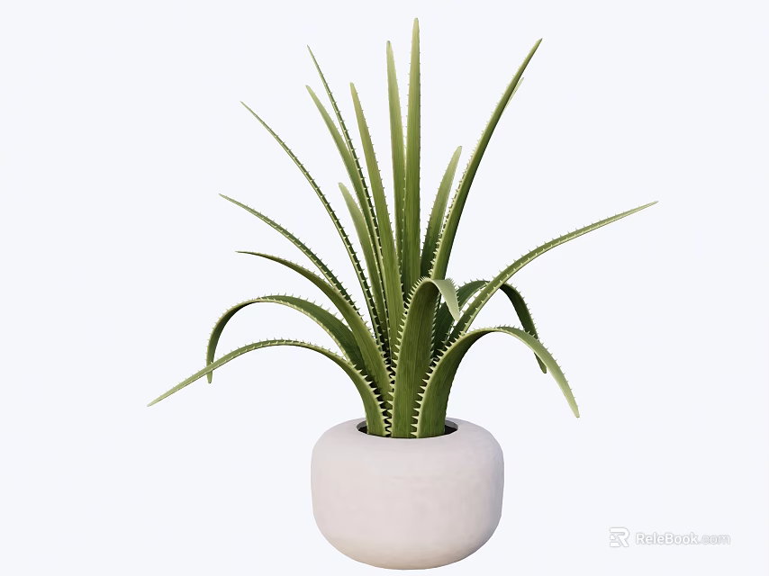 Minimalist Green Leaf Potted Plant In White Round Pot For Home Decor 3d model 