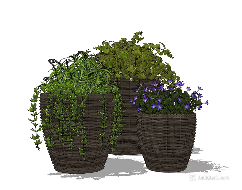 Bonsai Potted Plants with Green Vines and Purple Flowers in Woven Pots 3d model 