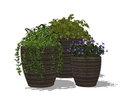 Bonsai Potted Plants with Green Vines and Purple Flowers in Woven Pots 3d model