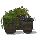 Bonsai Potted Plants with Green Vines and Purple Flowers in Woven Pots