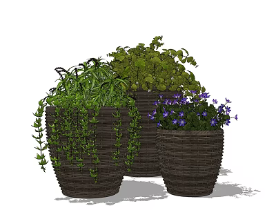 Bonsai Potted Plants with Green Vines and Purple Flowers in Woven Pots 3d model