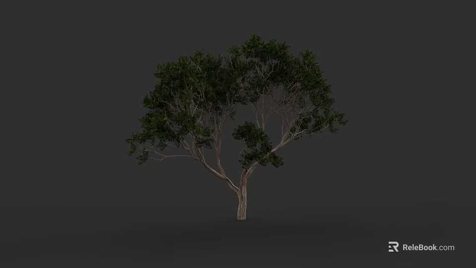 Single Arbor With Lush Green Leaves And Brown Trunk On Gray Background 3d model 