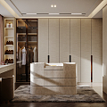 Light Luxury Cloakroom 3d model