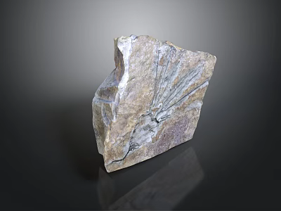 Natural Wood Stone Piece With Irregular Shape And Radiating Surface Patterns 3d model