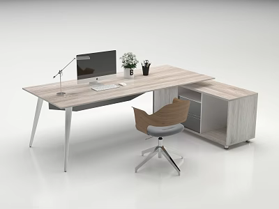 Modern Office Desk With Computer Monitor Lamp Potted Plant Storage Cabinet And Ergonomic Chair 3d model