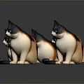 Six Calico Cats With Black White And Orange Fur Sitting On Black Reflective Surface
