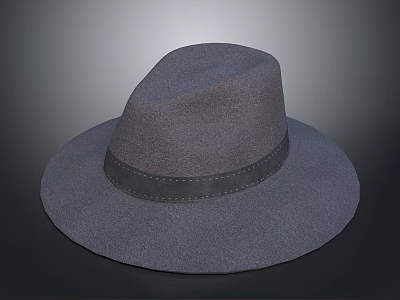 Gray Felt Wide Brim Hat With Black Stitched Band For Daily Wear 3d model