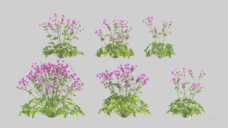 Lush Flower Clusters With Green Leaves And Purple Blooms On Gray Background 3d model 