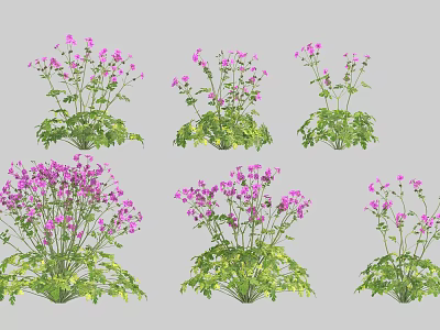 Lush Flower Clusters With Green Leaves And Purple Blooms On Gray Background 3d model