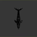 Detailed Realistic Whale 3D Model with Black Body White Spots on Gray Background