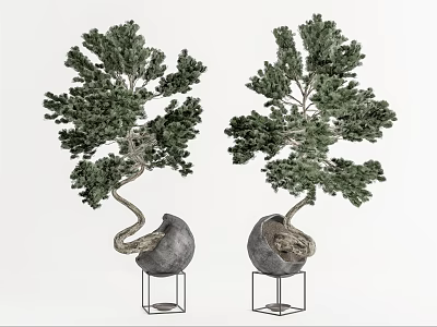 Elegant Bonsai Trees With Curved Trunks Green Foliage In Stone Pots On Metal Stands 3d model