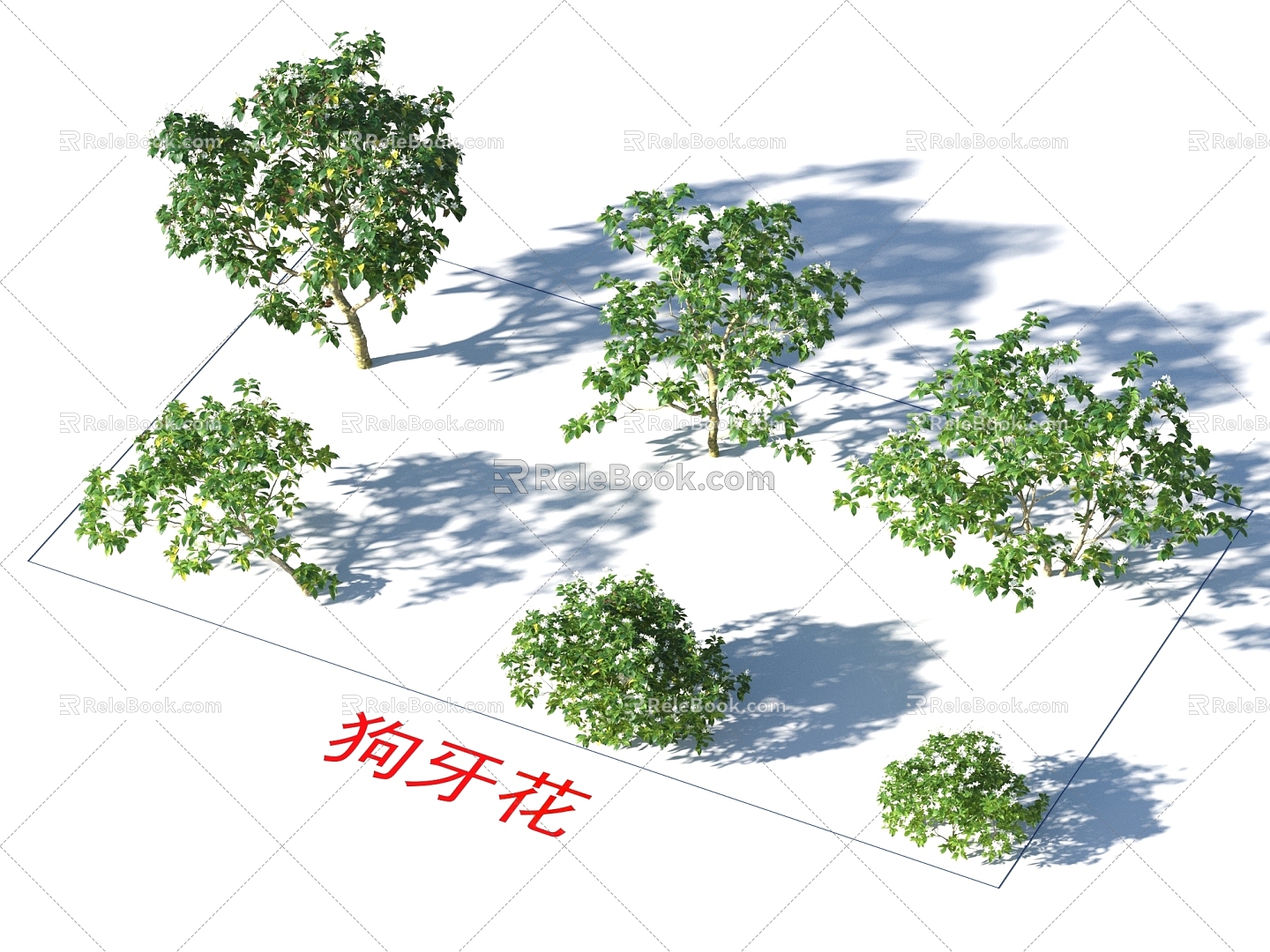 Bermudagrass Trees Plants 3d model