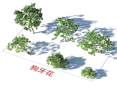 Bermudagrass Trees Plants 3d model