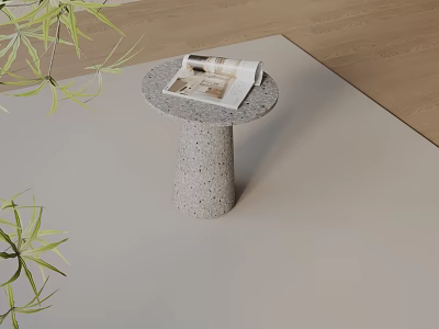 Terrazzo Side Table With Magazine On Top And Green Plants In Living Room 3d model