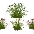 Lush Feathery Ornamental Grasses And Colorful Flowers For Garden Landscaping