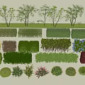 Diverse Shrubs With Pruned Shapes Vibrant Foliage For Garden Landscape Design
