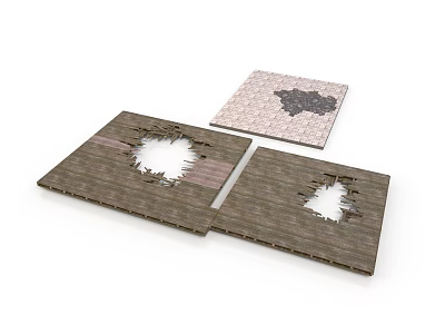 Damaged Wooden Floor Panels With Holes And Decorative Floor Tile Sample 3d model