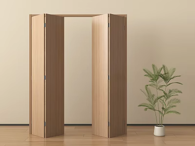 Modern Wooden Folding Door Interior With Light Wall And Potted Plant On Wooden Floor 3d model
