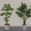 Green Leafy and Palm Potted Plants in White Textured Pots for Indoor Light Background