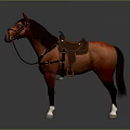 Realistic Brown Horse With Saddle And Bridle Standing On Dark Background