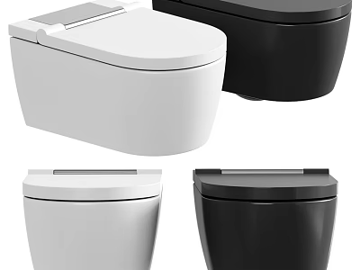 Modern Toilet Design In White And Black Colors With Sleek Contemporary Styling 3d model